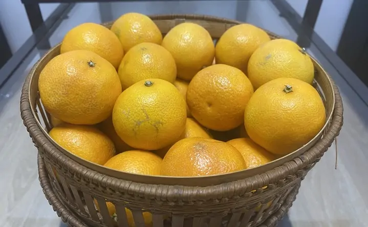 Мандарины. Фото donnews.ru