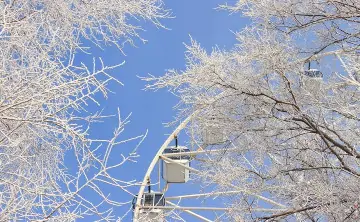 Ростов зимой. Фото Дениса Демкова