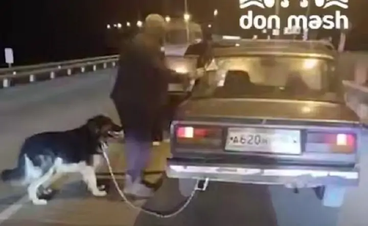 Хозяин и собака. Скриншот из видео telegram-канала Don Mash