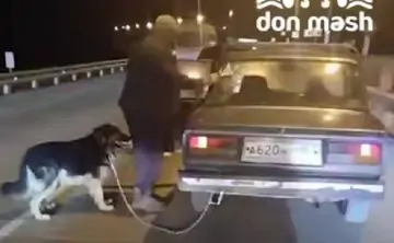 Хозяин и собака. Скриншот из видео telegram-канала Don Mash