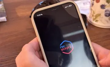 Приложение "Госуслуги". Фото donnews.ru