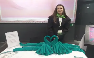 Мастер-класс по изготовлению лебедя из полотенца. Фото donnews.ru