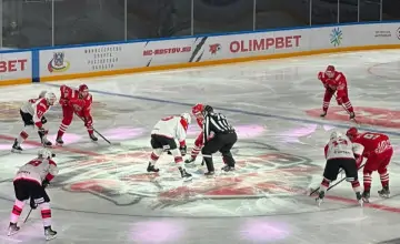 Хоккейный клуб «Ростов» во Дворце спорта. Фото donnews.ru