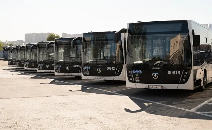 Автобусы. Фото пресс-служба городской администрации, rostov-gorod.ru