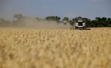 Сбор урожая. Фото пресс-службы губернатора Ростовской области