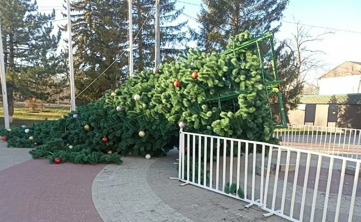 Упавшая ёлка. Фото из тг-канала "Новости Красного Сулина"