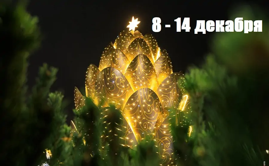 Ёлка на набережной Ростова. Фото Дениса Демкова