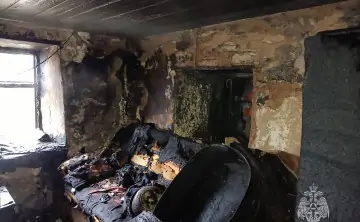 Пожар в Красном Сулине. Фото ГУ МЧС Ростовской области