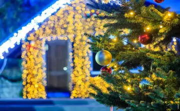 Ёлка. Фото Дениса Демкова