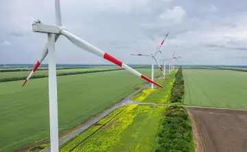 Ветропарк. Фото пресс-служба губернатора Ростовской области