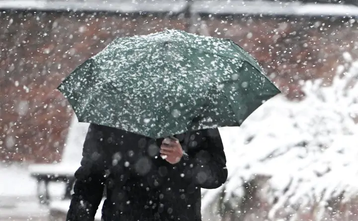 Снег. Фото Михаила Воскресенского, РИА Новости