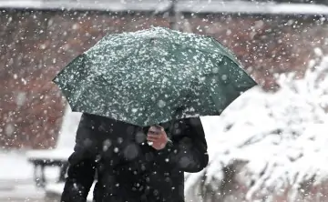Снег. Фото Михаила Воскресенского, РИА Новости