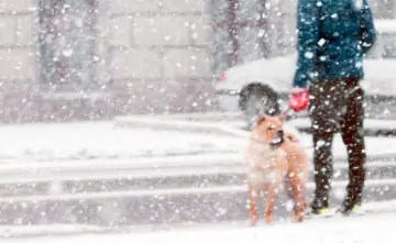 Ростов. Фото Дениса Демкова