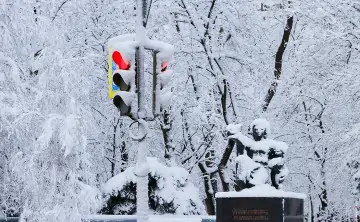 Снег. Фото Дениса Демкова