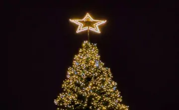Новогодняя звезда. Фото Дениса Демкова