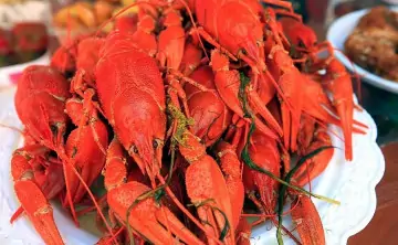 Раки. Фото Валерия Матыцина, ТАСС