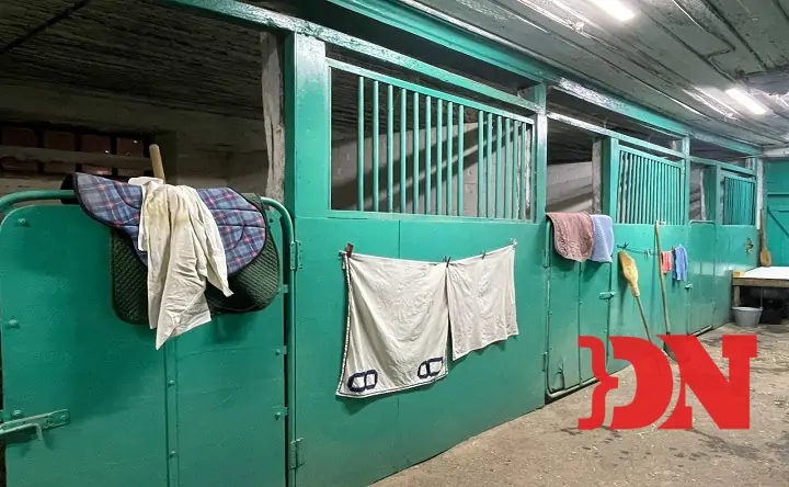 Конюшни. Фото donnews.ru