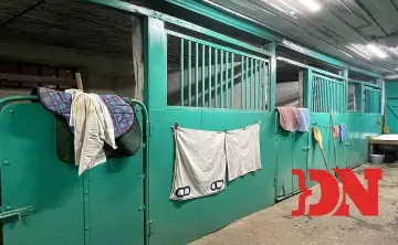 Конюшни. Фото donnews.ru