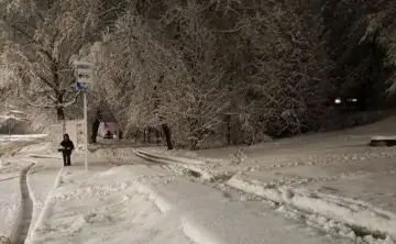 Заснеженная улица Миронова в Ростове. Фото из соцсети