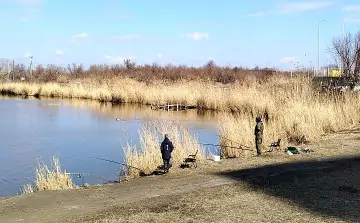 Река Мокрый Батай в Батайске. Фото donnews.ru