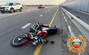 Мопед. Фото УГИБДД по Ростовской области