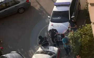 Задержание. Фото Telegram-канала «Мой Батайск»