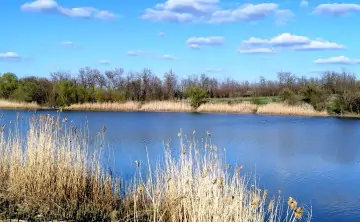 Озеро в Кагальницком районе. Фото donews.ru