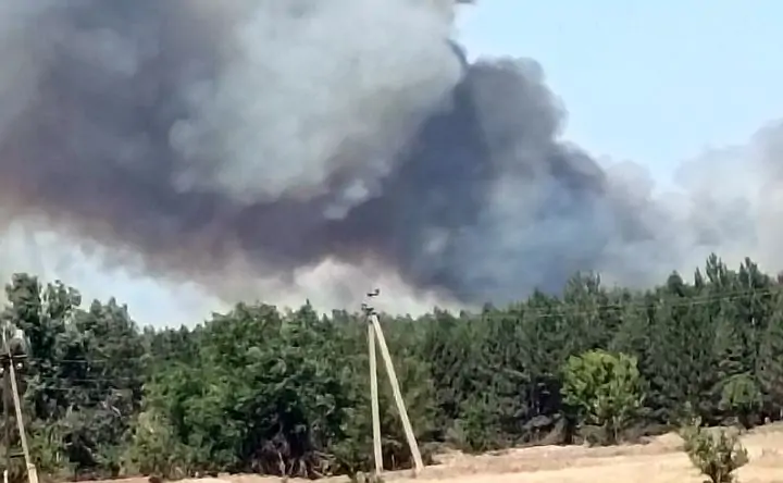 Пожар в лесах Каменского района. Фото donnews.ru
