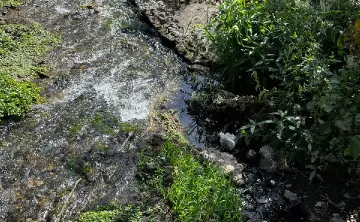 Сточные воды попадают в Гремучку. Фото donnews.ru