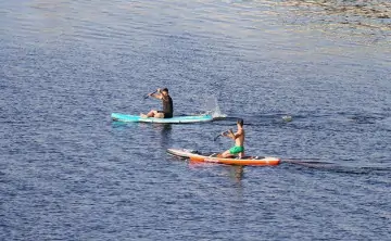 Прогулки на сап-бордах. Фото Михаила Метцель, ТАСС