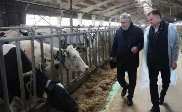 Юрий Слюсарь на ферме. Фото пресс-службы губернатора Ростовской области