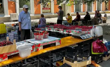 Рынок на Сержантова. Фото donnews.ru