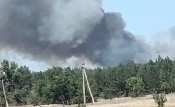 Пожар в Каменском лесничестве. Фото из соцсетей