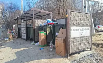 Контейнерная площадка в Ростове. Фото donnews.ru