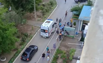 Обрушение дерева. Фото: "Блокнот Волгодонска"