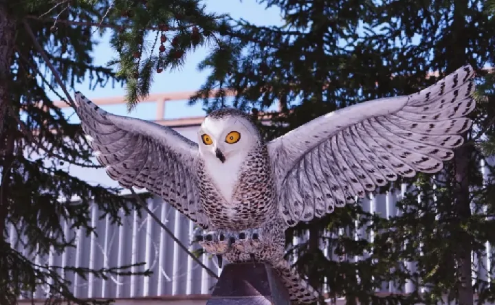 Скульптура в колонии «Полярная сова». Фото Юлии Чудиновой, «Ямал-Медиа»