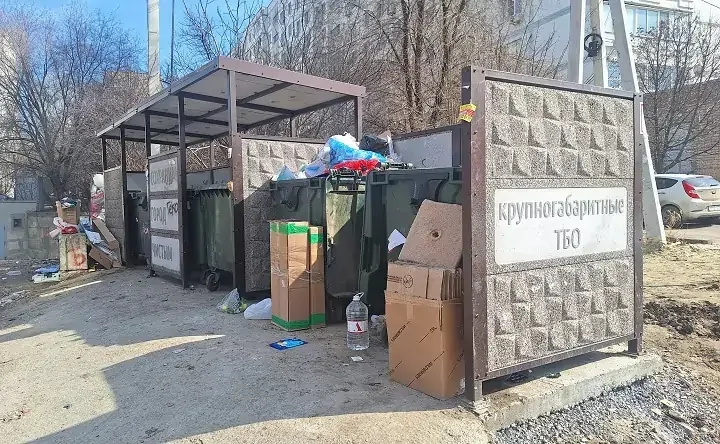 Мусорная площадка в Ростове. Фото donnews.ru