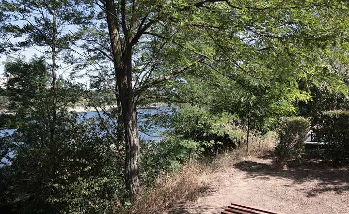 Берег Северного водохранилища. Фото donland.ru