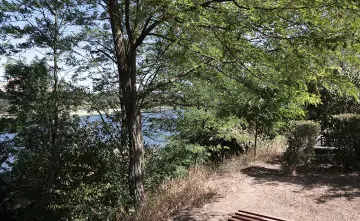 Берег Северного водохранилища. Фото donland.ru