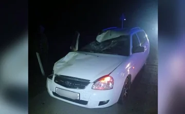 Фото с места ДТП отдела пропаганды ГИБДД по Ростовской области