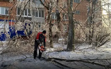 Ледяной дождь. Фото Наталья Никулина, ТАСС