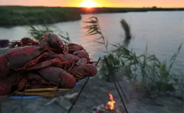 Донские раки. Фото Валерия Матыцина, ТАСС