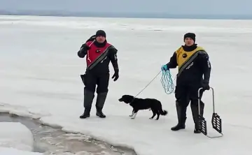 Спасение пса. Фото областной службы спасения.