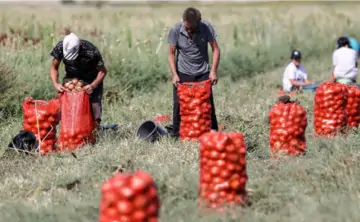 Работа на ферме. Фото Алексея Коновалова, ТАСС