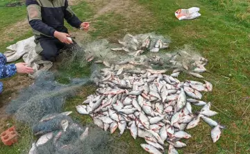 Задерживать нарушителей обещают «независимо от их личного статуса». Фото rostov.fish.gov.ru.