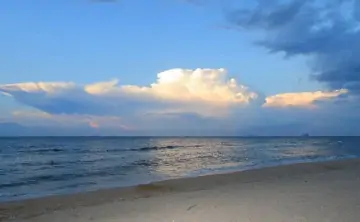 Содержание нефтепродуктов в Азовском море в пределах нормы. Фото с официального сайта АзНИИРХ