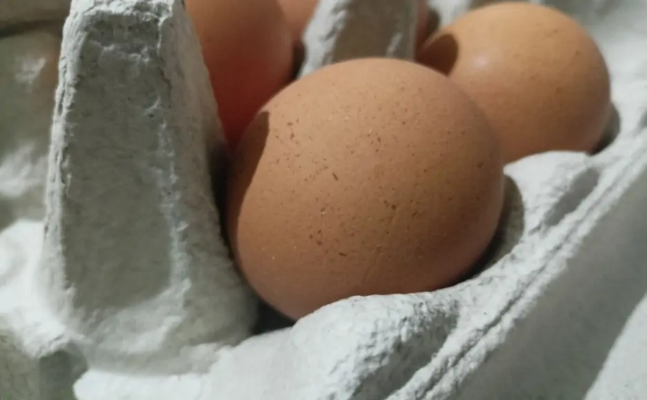 Яйца Аксайской птицефабрики. Фото donnews.ru