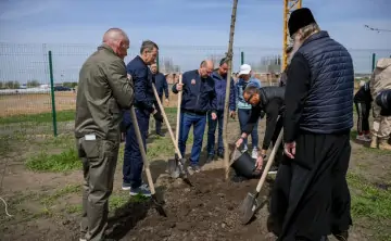 Застройщик высадил 100 новых растений. Фото «ЮгСтройИнвеста»