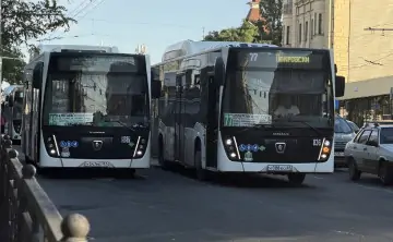 К 2030 году дефицит водителей должен составить всего 10%. Фото donnews.ru.