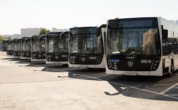 Автобусы. Фото пресс-службы администрации Ростова